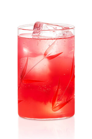 Borosil Bouquet Glass, Set of 6 - 295 ml