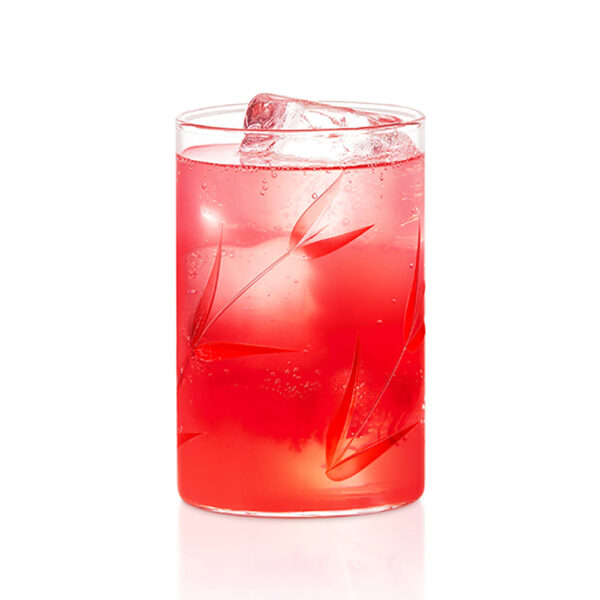 Borosil Bouquet Glass, Set of 6 - 295 ml