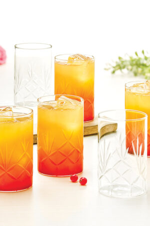 Borosil Meadow Glass, Set of 6 - 350 ml