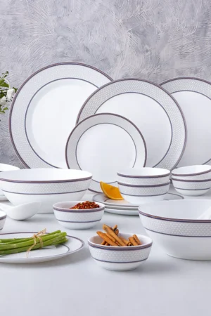 Larah By Borosil Starlight Dinner Set-29 pc