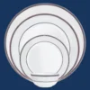 Larah By Borosil Starlight Dinner Set-49 pc - Image 4