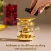 Borosil Brass Diffuser Medium - Image 3