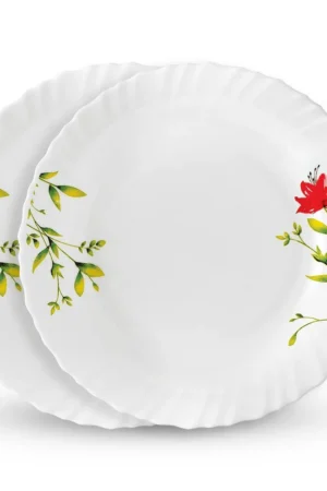 2 PC SOUP PLATE SET