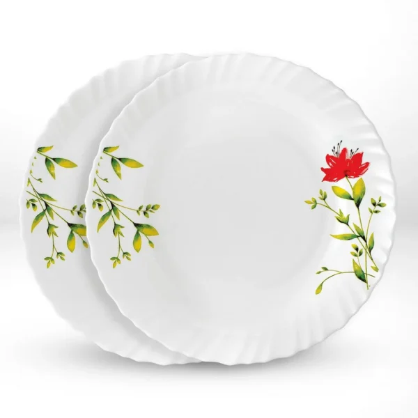 2 PC SOUP PLATE SET